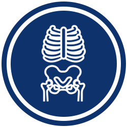 Bone Icon Bone Icon